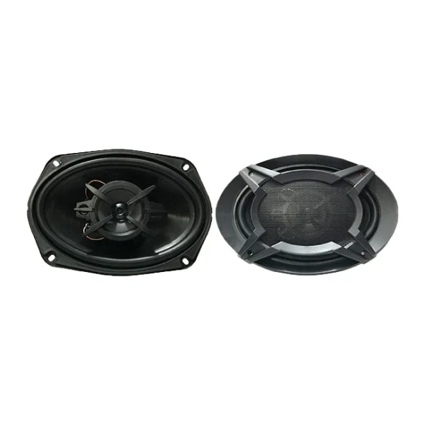 باند بیضی پاناتک 6*9 اینچ مدل PCS-6928 دو عددی